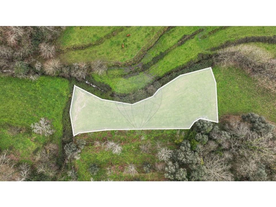 Land in Chorense e Monte, Braga - photo 1