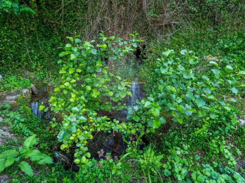 Terreno en Vilela, Seramil e Paredes Secas, Braga - foto 3