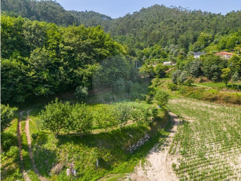 Terreno en Vilela, Seramil e Paredes Secas, Braga - foto 5