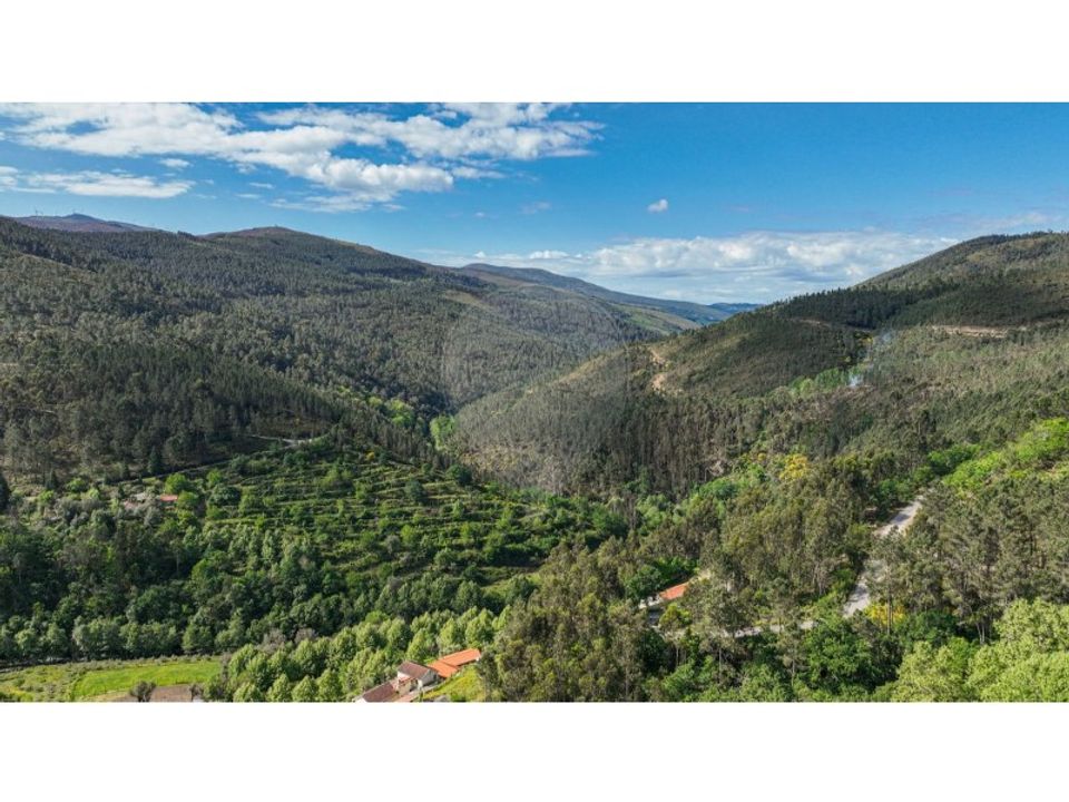 Villa - Mondim de Basto, Vila Real - photo 2