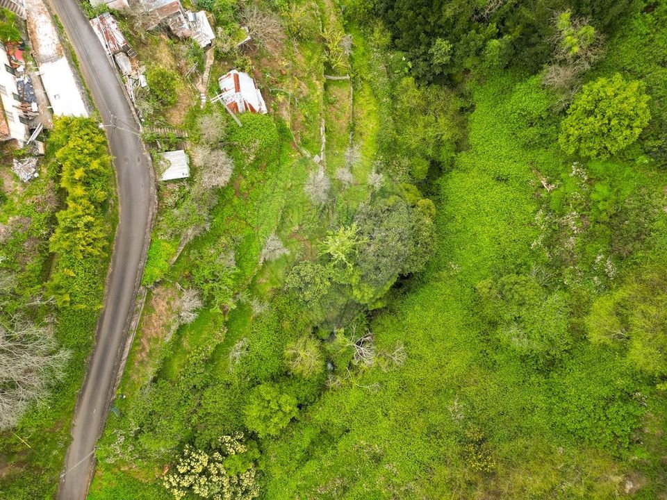 Helårsgrund i Santa Cruz, Madeira - foto 5
