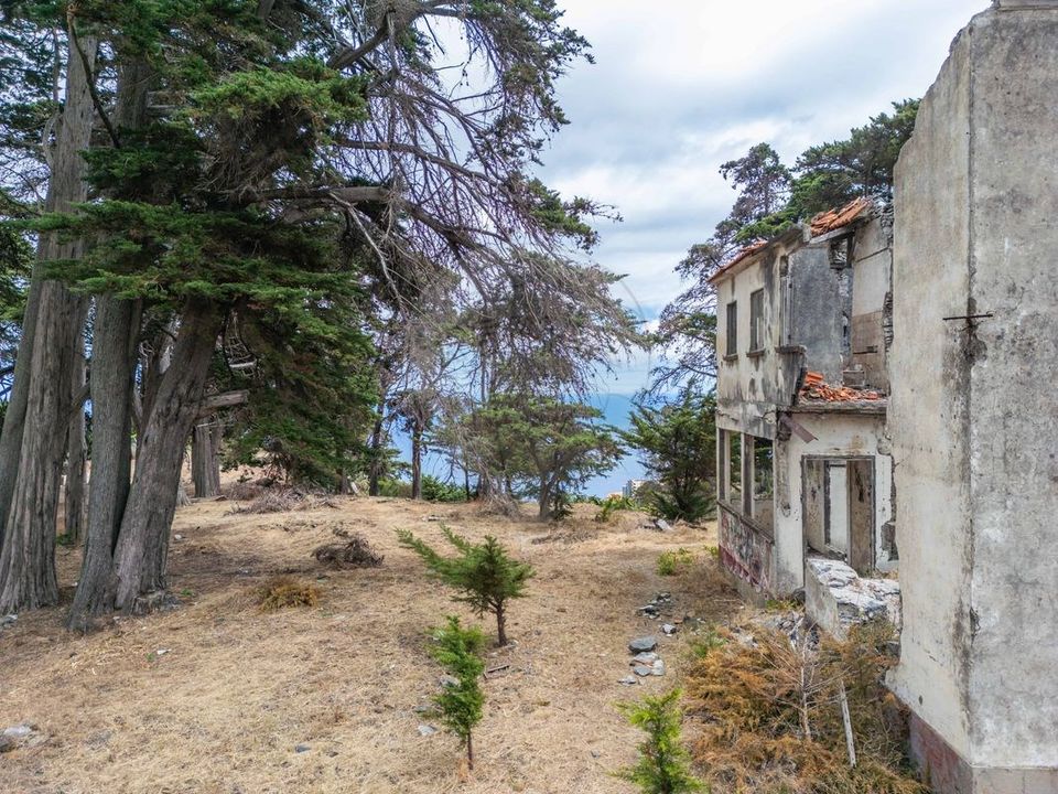 Farm hus i Santa Cruz, Madeira - foto 3