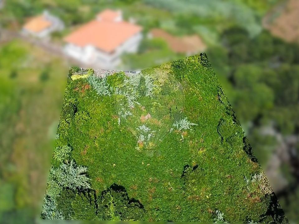 Helårsgrund i Santana, Madeira - foto 4
