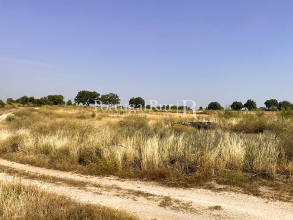 Tomt i Monsanto e Idanha-a-Velha, Castelo Branco - bilde 4