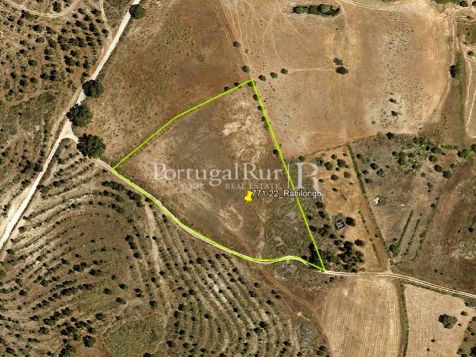 Tomt i Monsanto e Idanha-a-Velha, Castelo Branco - bilde 5