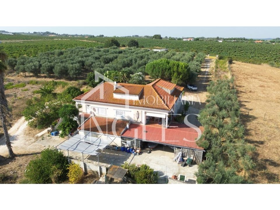 Villa i Cartaxo, Santarem - bilde 1