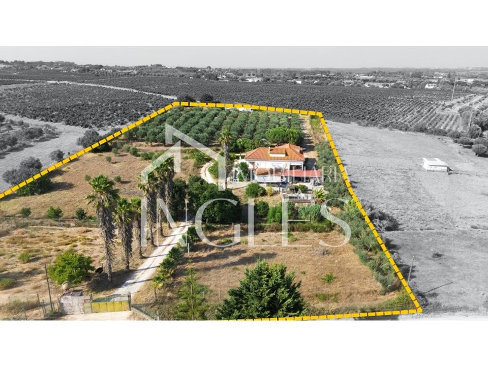 Villa i Cartaxo, Santarem - bilde 2