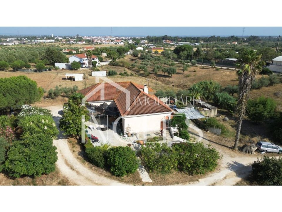 Villa i Cartaxo, Santarem - bilde 3