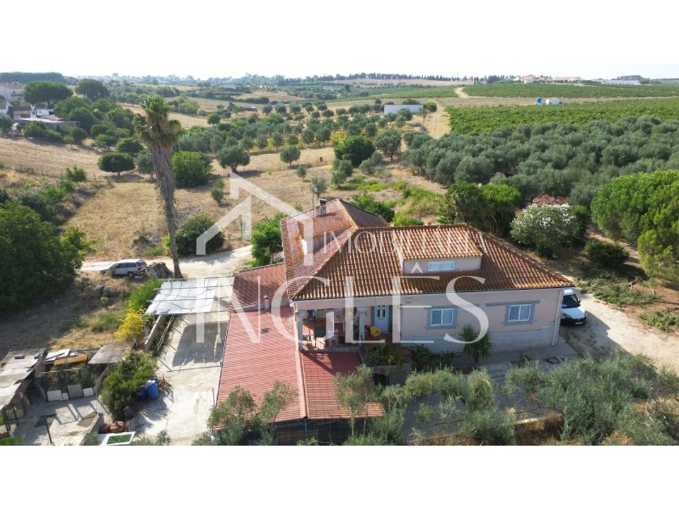 Villa i Cartaxo, Santarem - bilde 4