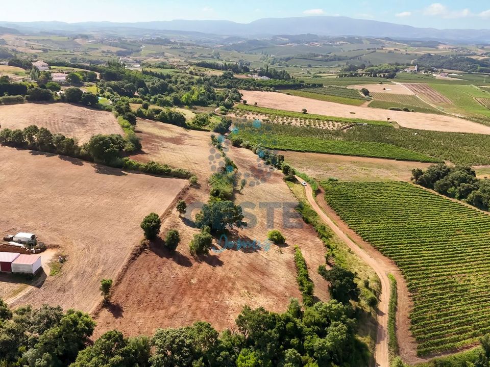 Helårsgrund i Bombarral, Leiria - foto 1