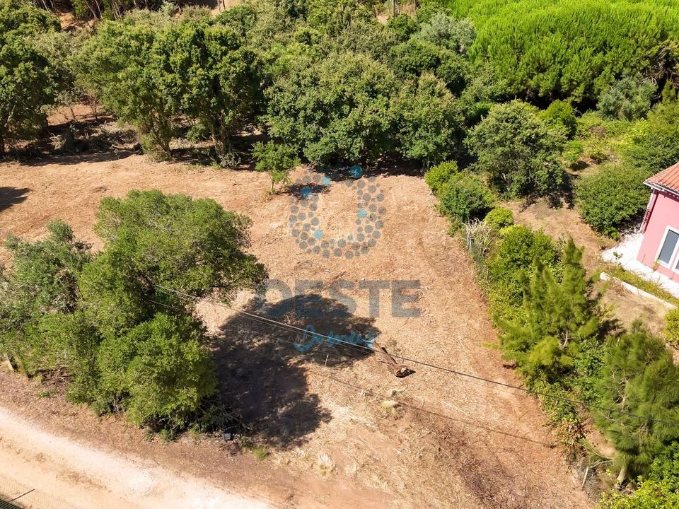 Helårsgrund i Bombarral, Leiria - foto 2