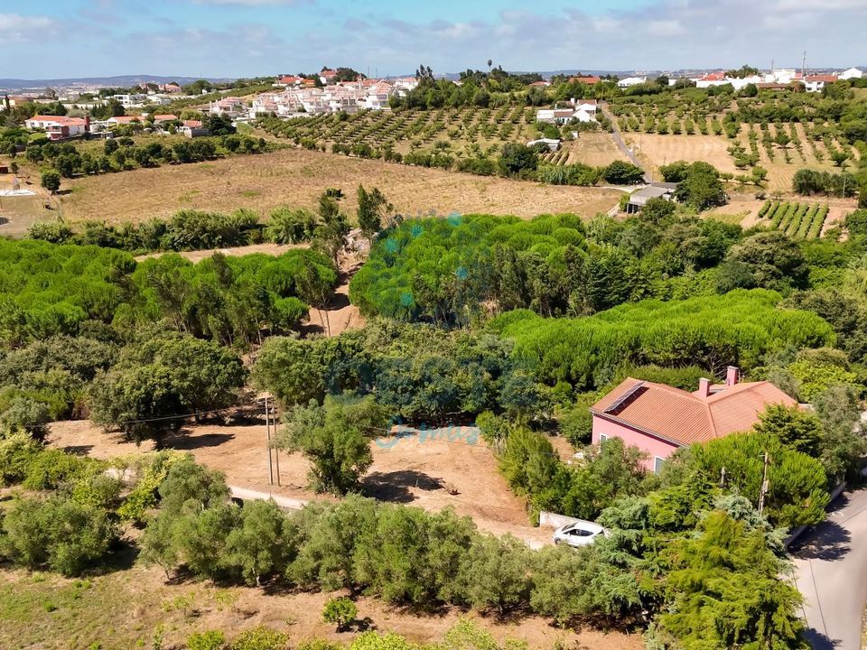 Helårsgrund i Bombarral, Leiria - foto 3