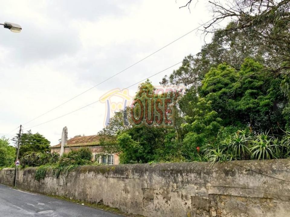 Farm i Belas, Lisbon - foto 2