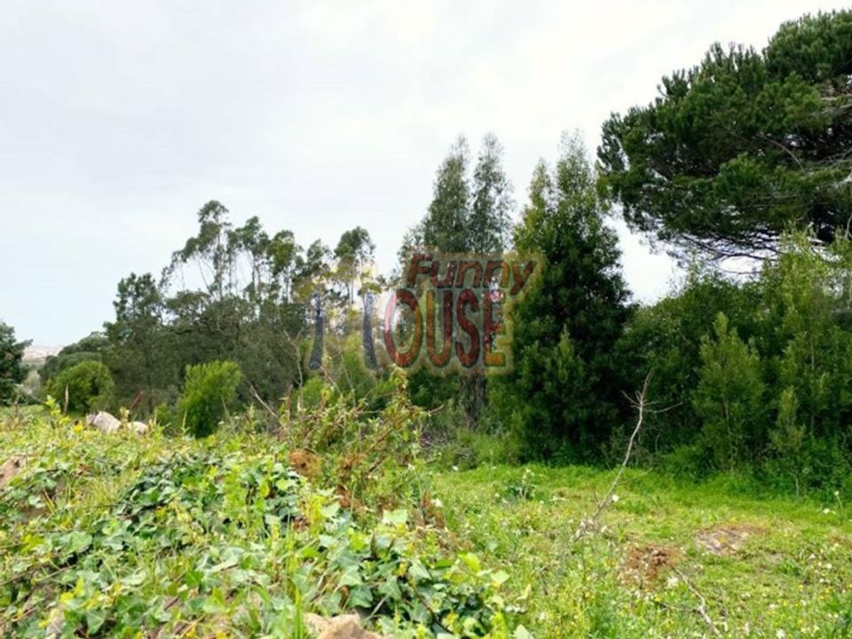 Farm i Belas, Lisbon - foto 5
