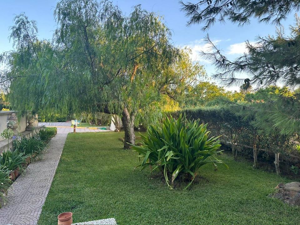 Villa i Ustica, Palermo - foto 3