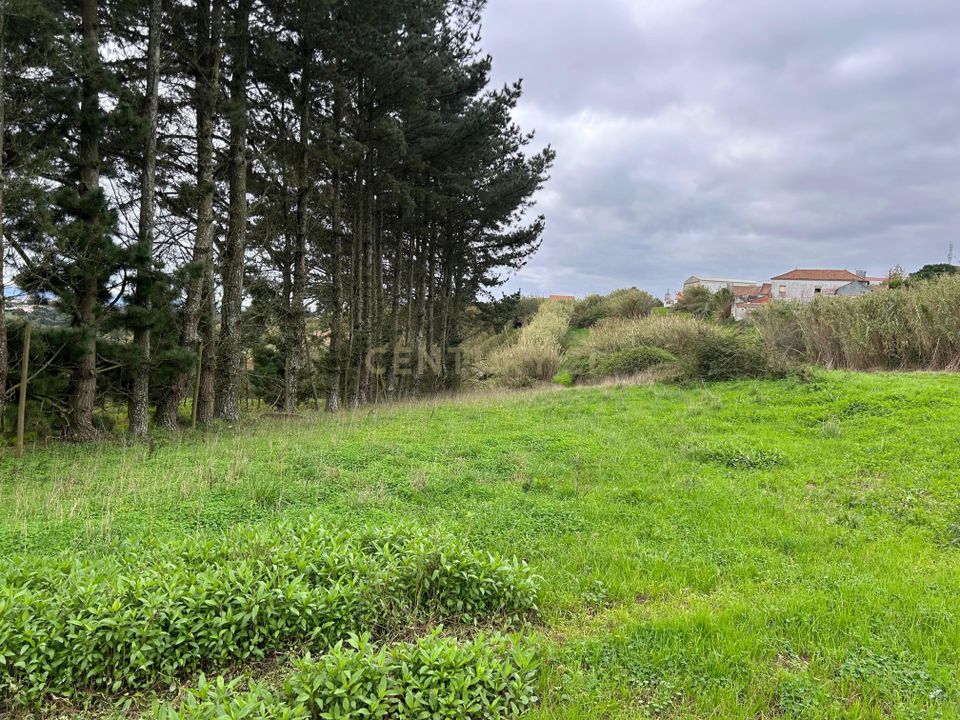 Helårsgrund i Obidos, Leiria - foto 3