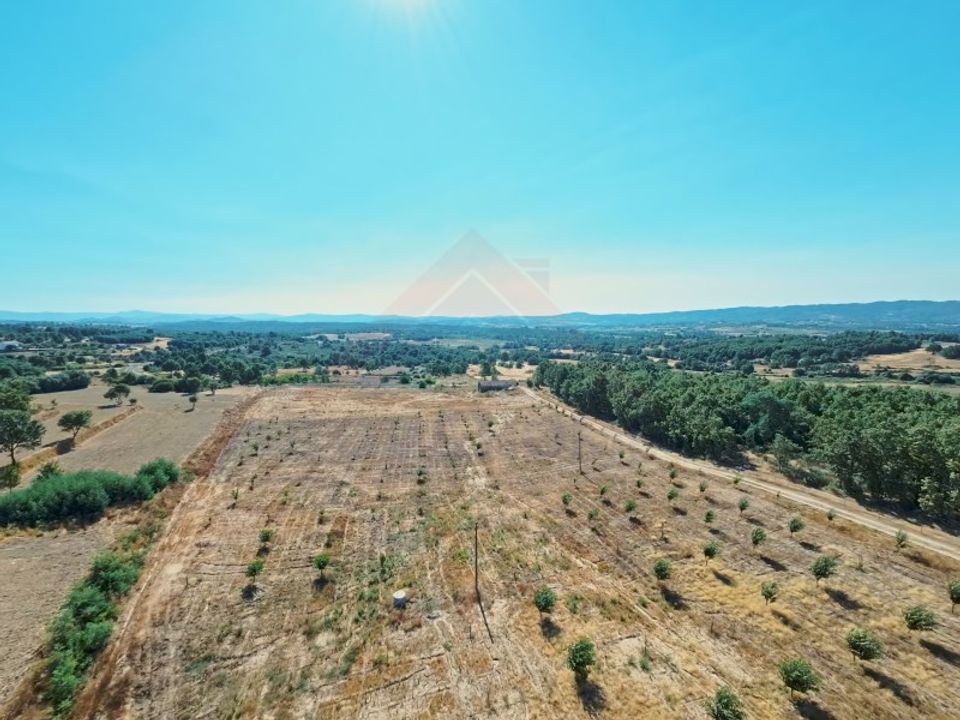 Farm i Covilha, Castelo Branco - foto 3