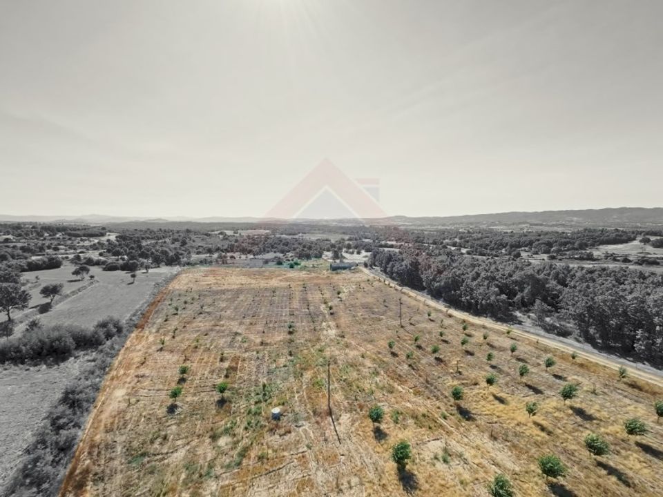 Farm i Covilha, Castelo Branco - foto 4