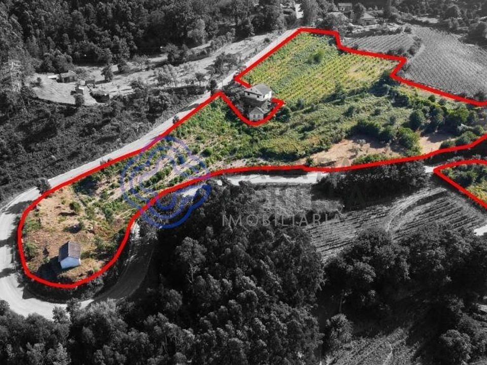 Gård i Cinfaes, Viseu - bilde 2