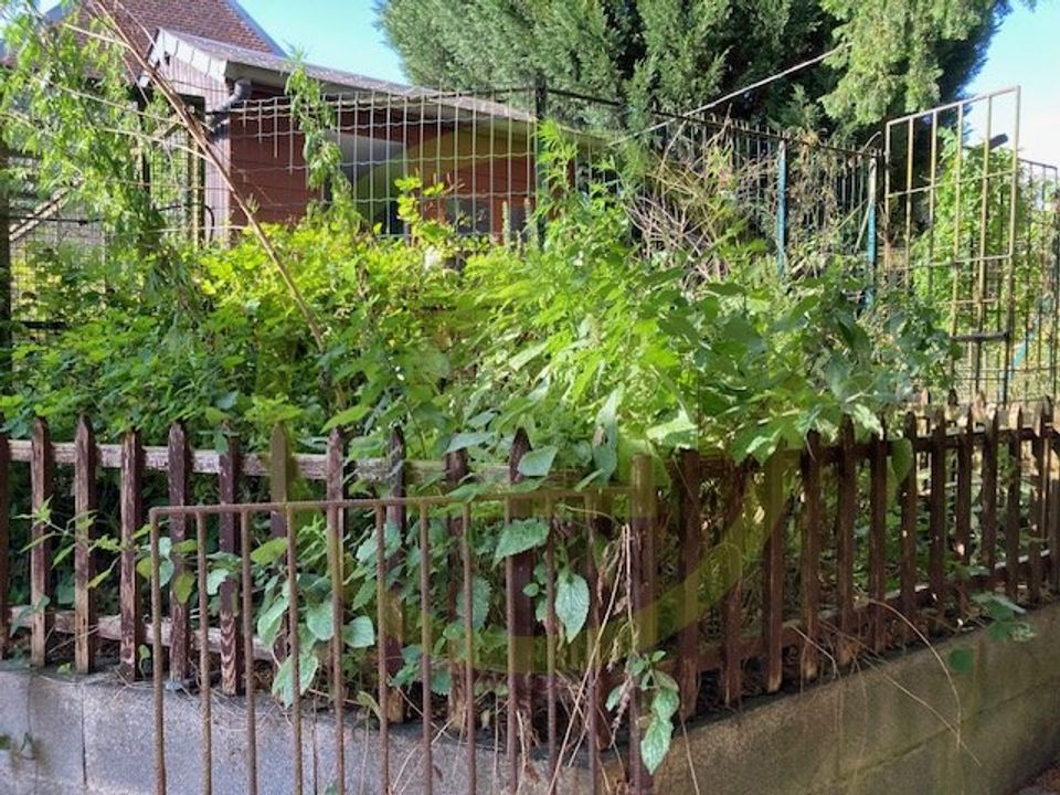 Bungalow i Bachant, Nord - foto 3