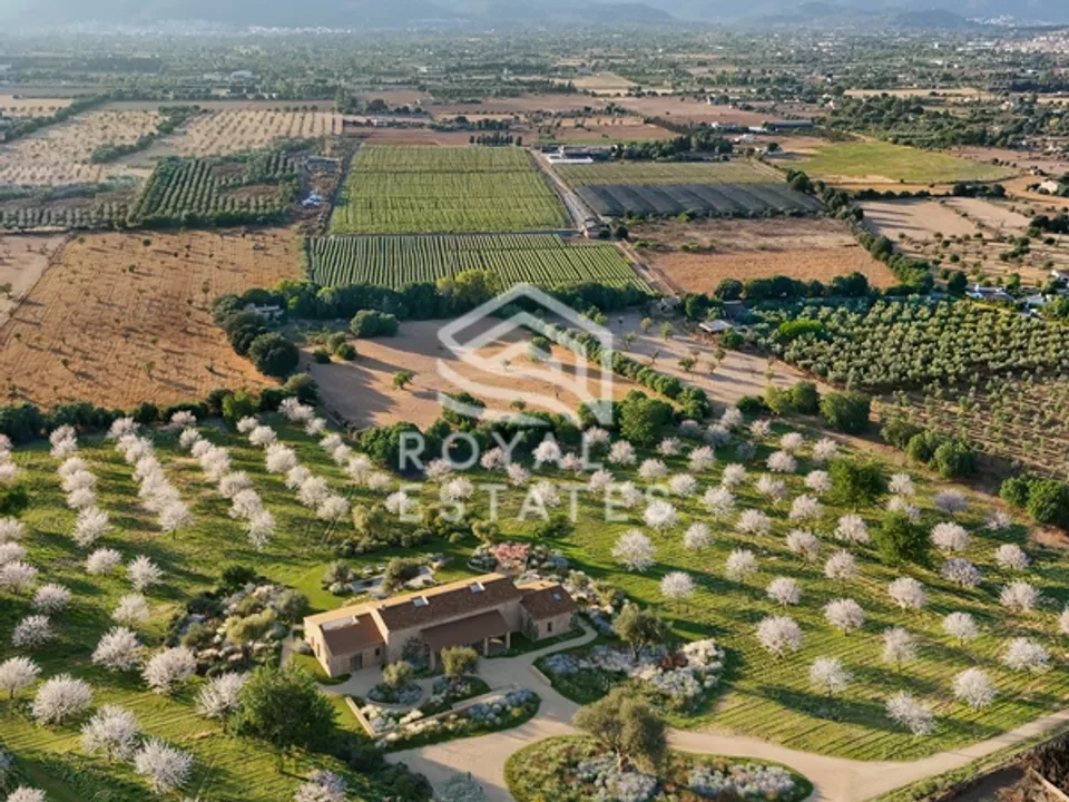 Helårsgrund i Binissalem, Mallorca - foto 1