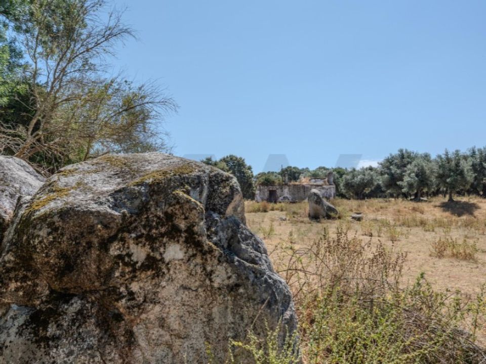 Helårsgrund i Montemor-o-Novo, Evora - foto 3