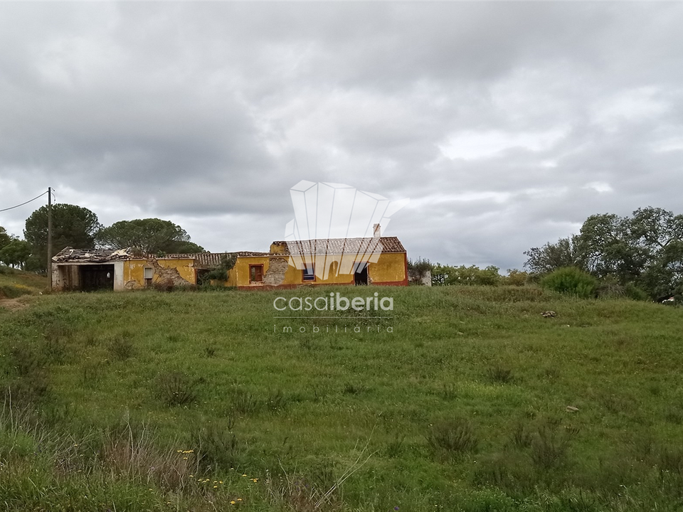 Farm i Silves, Faro - foto 1