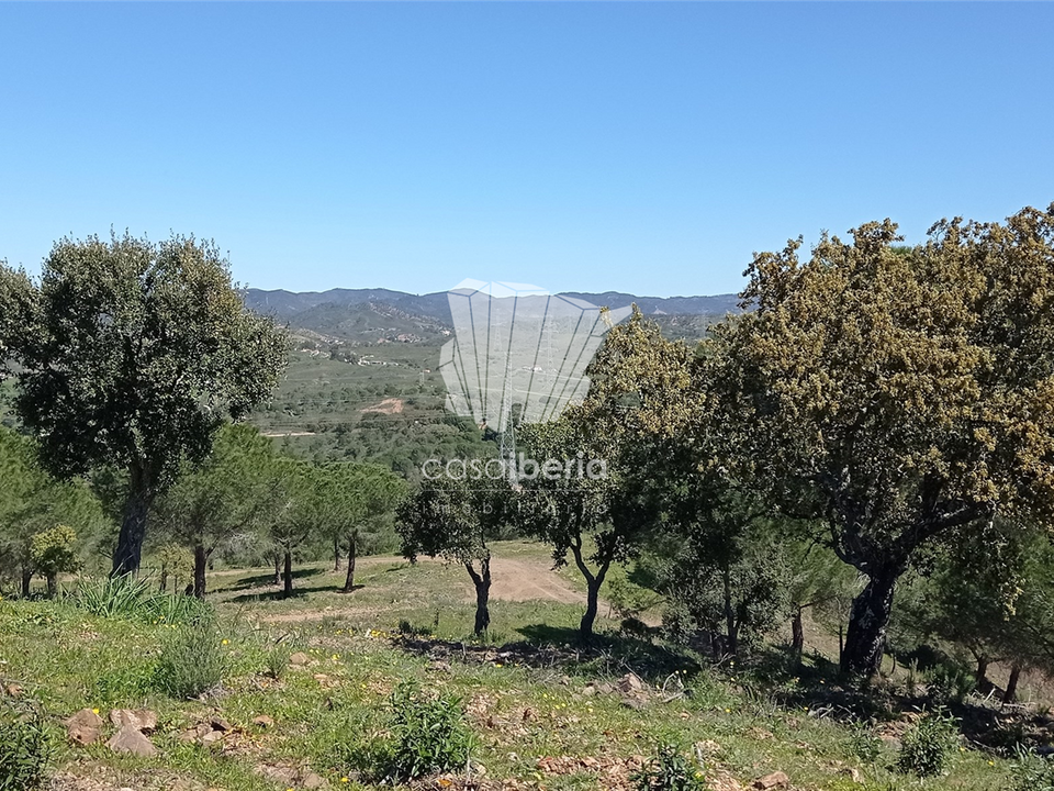 Farm i Silves, Faro - foto 3