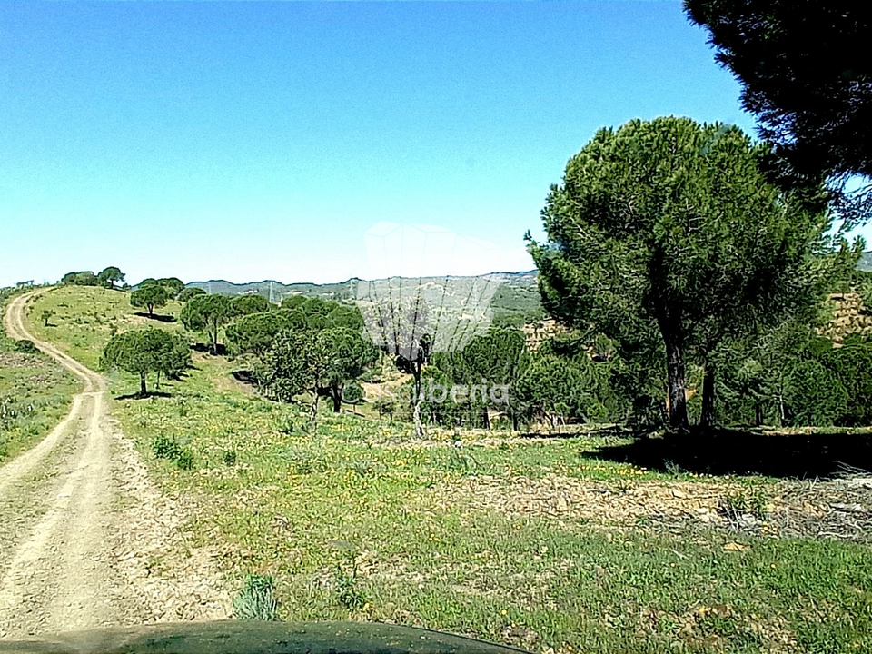 Farm i Silves, Faro - foto 4