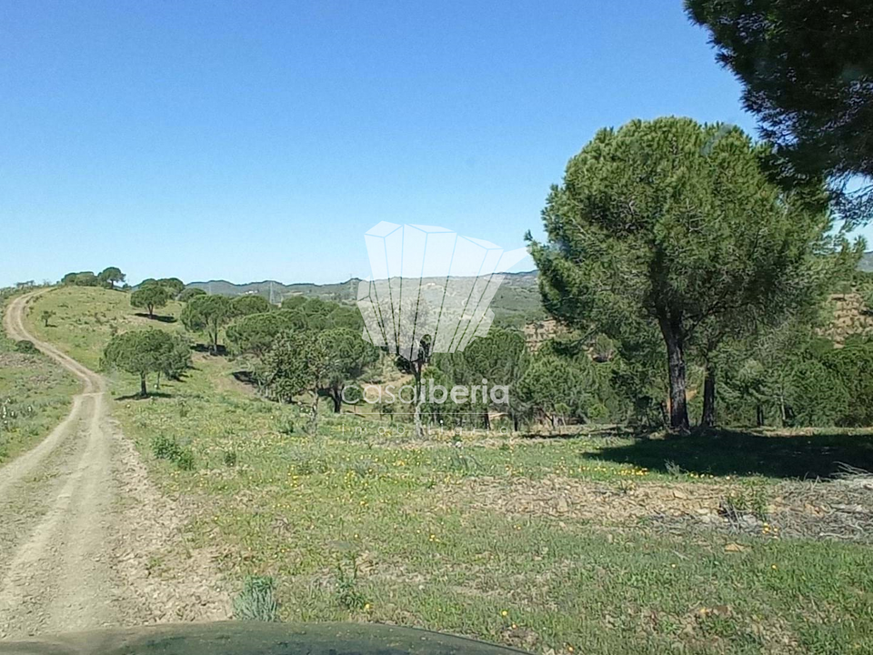 Farm i Silves, Faro - foto 5