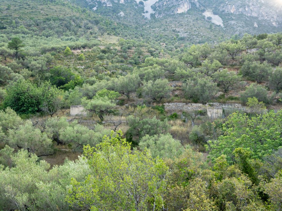 Finca i Mas De Barberans, Tarragona - foto 2