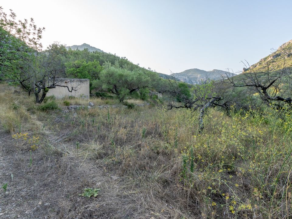 Finca i Mas De Barberans, Tarragona - foto 3