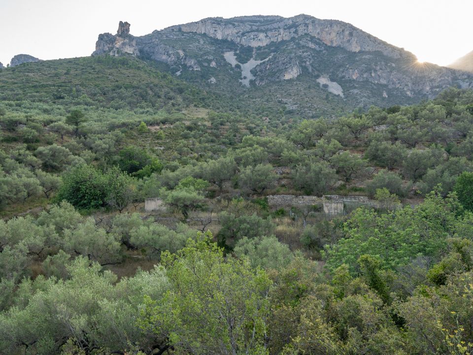 Finca i Mas De Barberans, Tarragona - foto 1