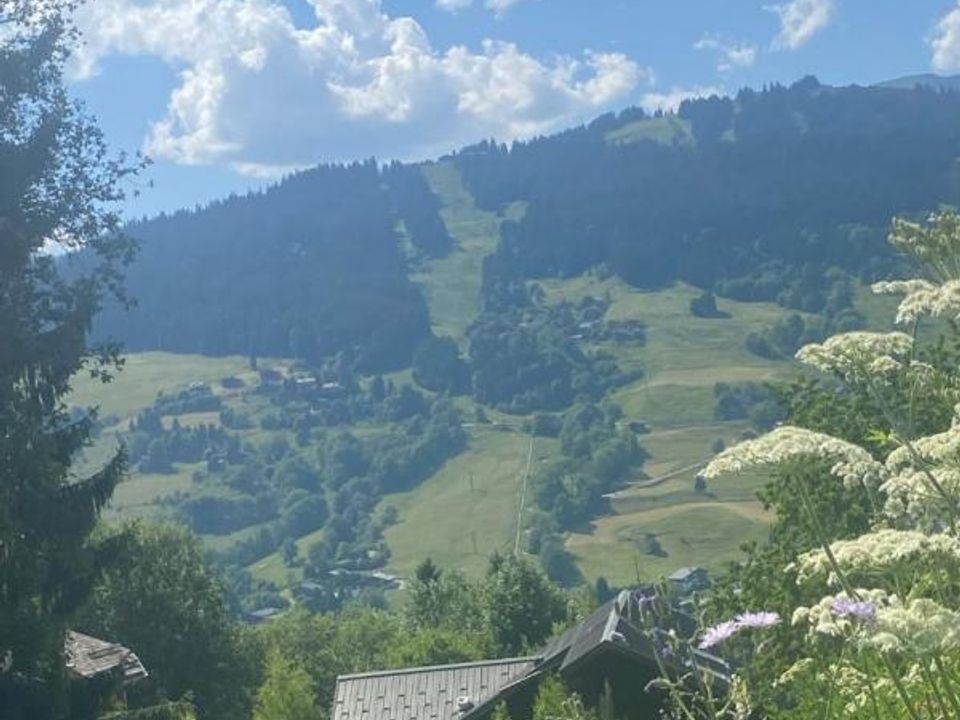 Helårsgrund i Megève, Haute-Savoie - foto 2