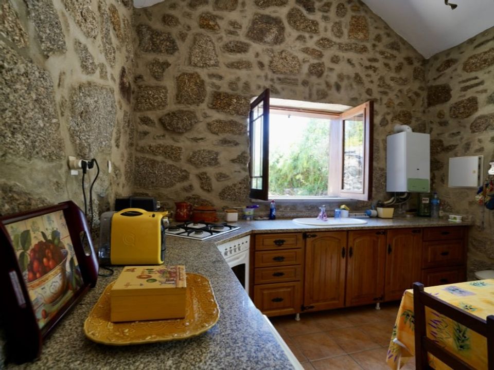 Farm i Vale de Prazeres e Mata da Rainha, Castelo Branco - foto 4