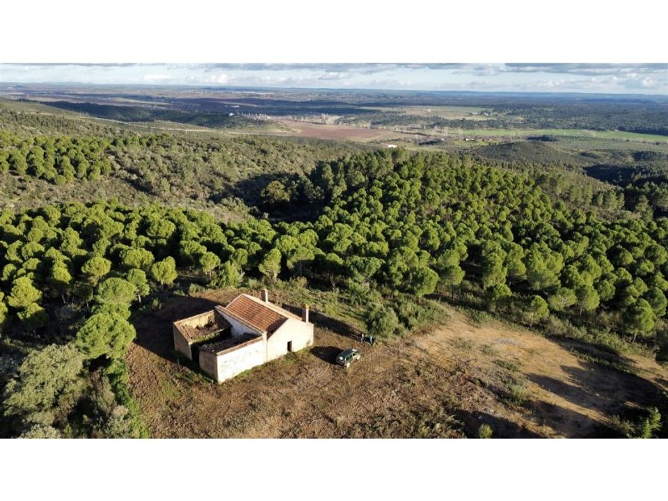 Landejendom i Escalos de Baixo, Castelo Branco - foto 2