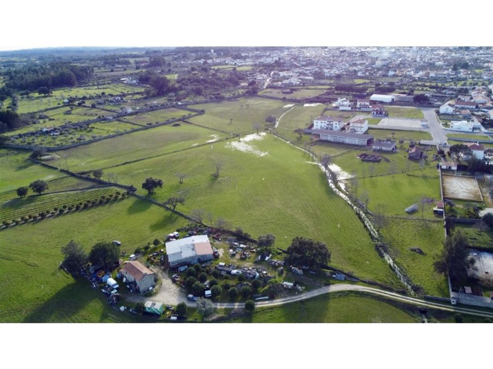 Farm i Alcains, Castelo Branco - foto 3
