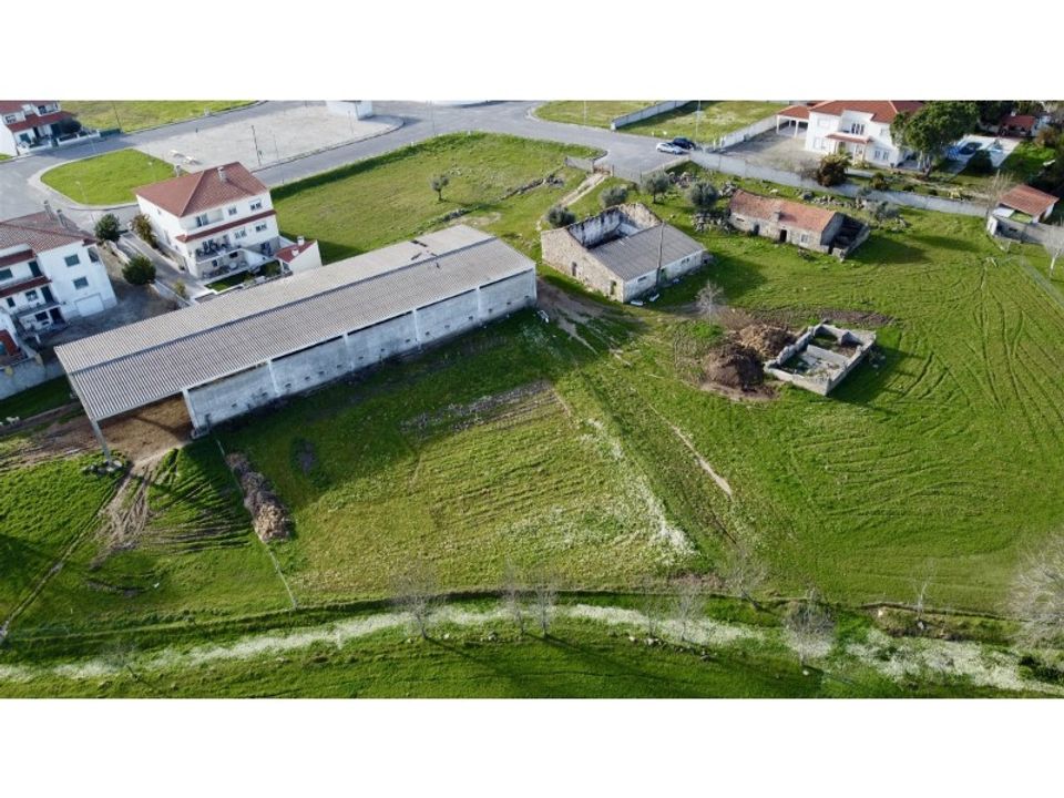 Farm i Alcains, Castelo Branco - foto 4