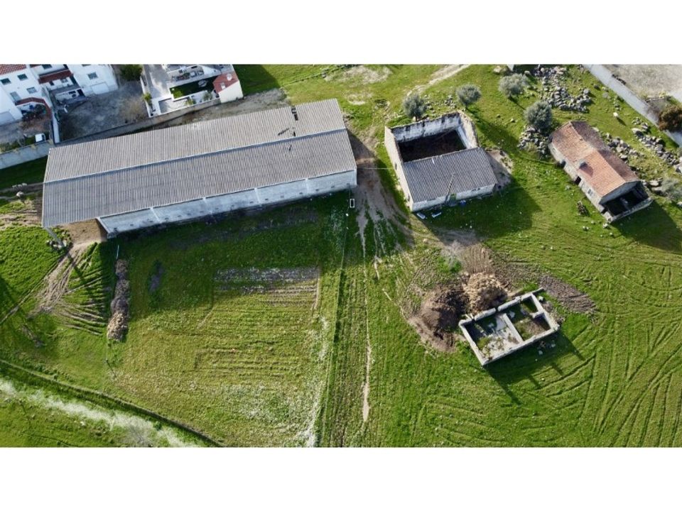 Farm i Alcains, Castelo Branco - foto 5