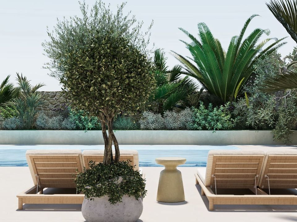 Landsbyhus i Marratxinet (Marratxi), Mallorca - foto 4