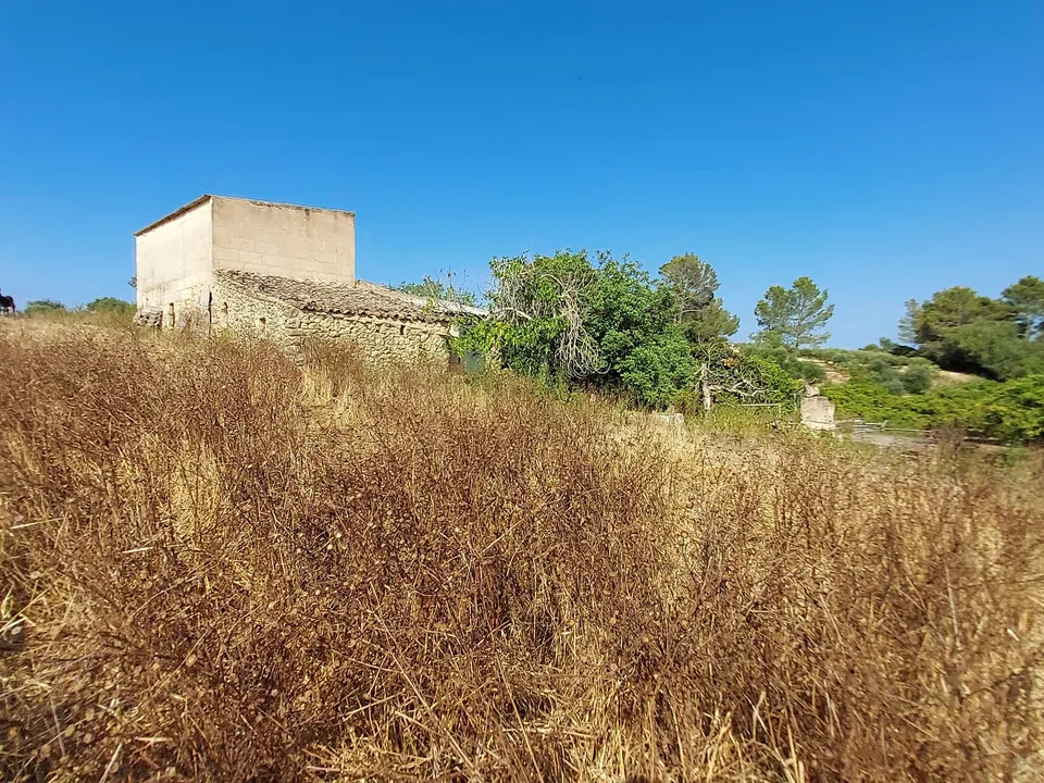 Helårsgrund i Maria De La Salut, Mallorca - foto 3