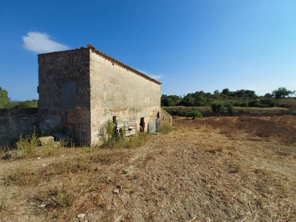 Helårsgrund i Maria De La Salut, Mallorca - foto 5