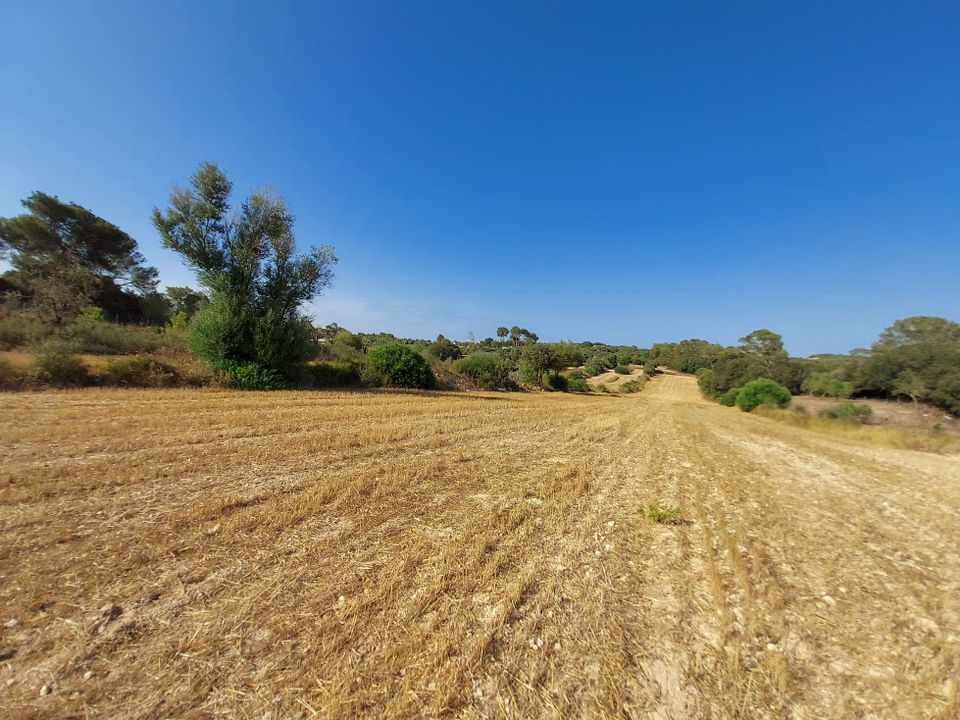 Helårsgrund i Sineu, Mallorca - foto 1