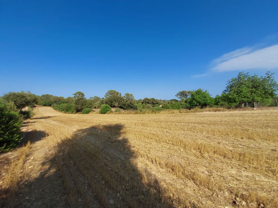 Helårsgrund i Sineu, Mallorca - foto 4