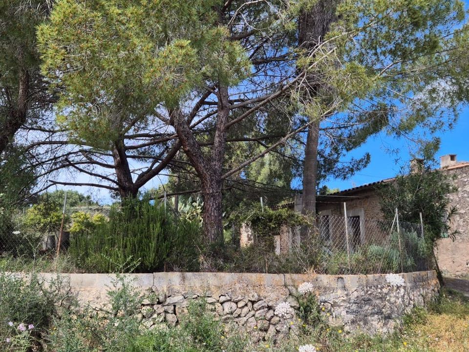 Finca i Buger, Mallorca - foto 3