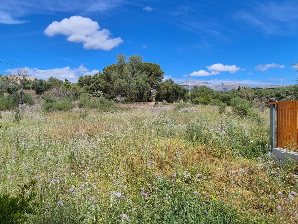 Finca i Buger, Mallorca - foto 4