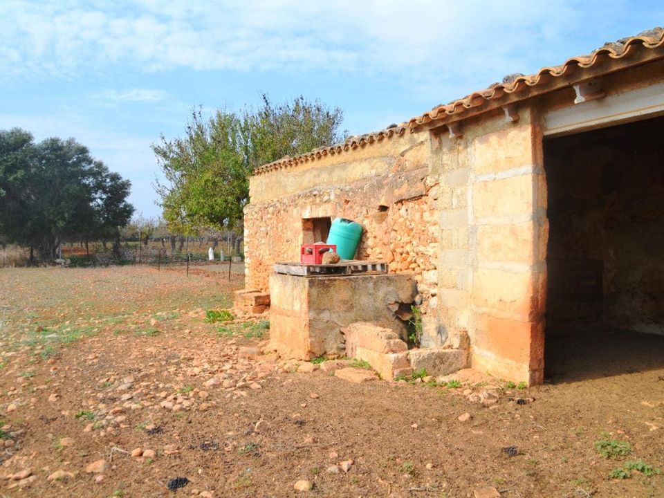 Helårsgrund i Buger, Mallorca - foto 4
