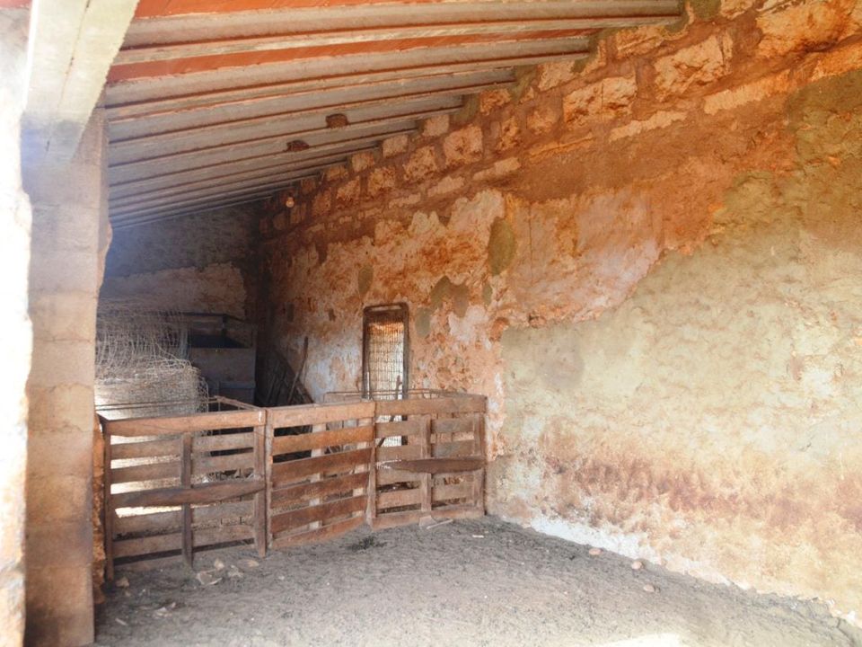 Helårsgrund i Buger, Mallorca - foto 5