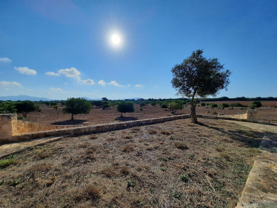 Helårsgrund i Maria De La Salut, Mallorca - foto 1