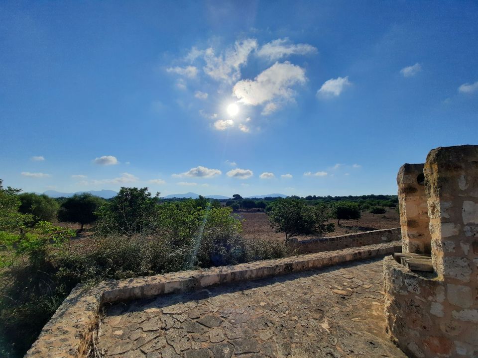 Helårsgrund i Maria De La Salut, Mallorca - foto 2